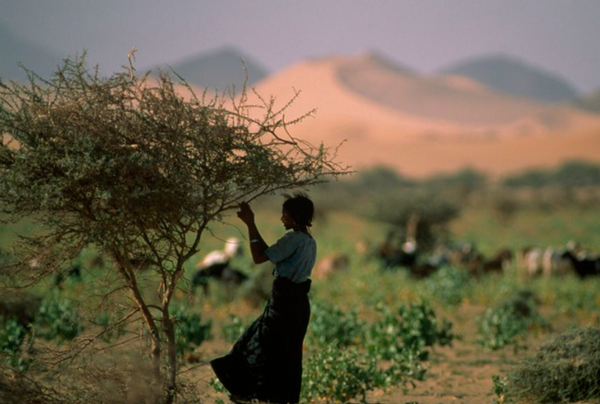 woman standing next to a tree in a field