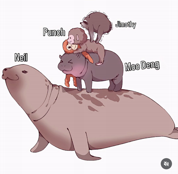 animated images of viral animals