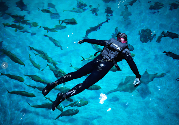 Wounded warrior swimming with whale sharks at the Georgia Aquarium